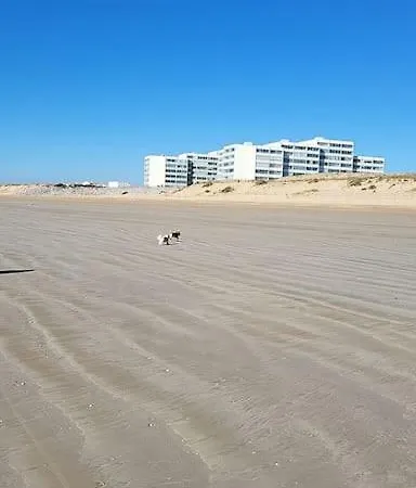 Agreable T2 Face Aux Dunes Bord De Apartment Plage-des-Demoiselles