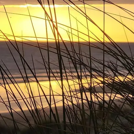 Agreable T2 Face Aux Dunes Bord De Plage-des-Demoiselles
